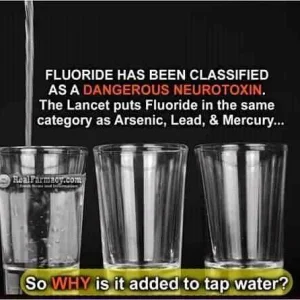 FB_IMG_16012235093507194.jpg