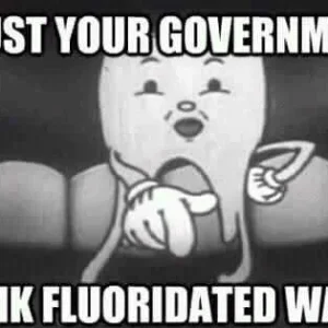 FB_IMG_16012232097576641.jpg