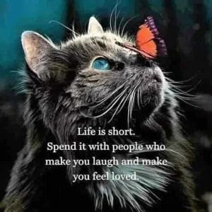 FB_IMG_16012222143840862.jpg