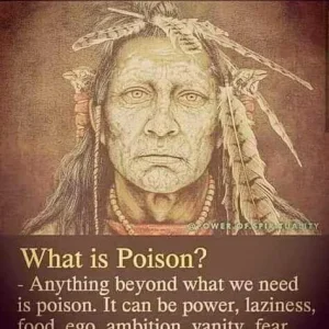 FB_IMG_16023270242025566.jpg