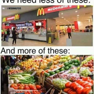 FB_IMG_16015374136494622.jpg