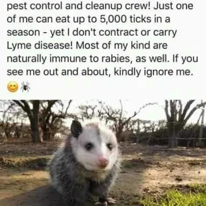 FB_IMG_16009333157295174.jpg