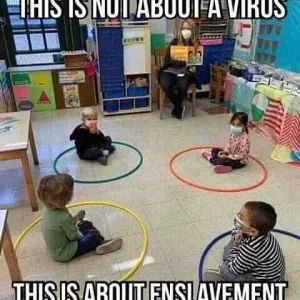 FB_IMG_16008615913934849.jpg