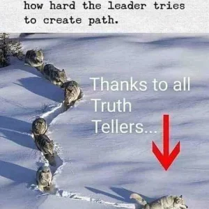 FB_IMG_16023618002663875.jpg