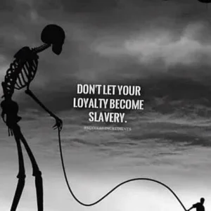 FB_IMG_16020647052774744.jpg