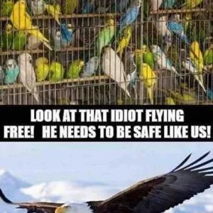 FB_IMG_16023321608175071.jpg