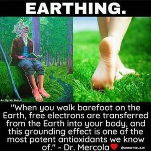 FB_IMG_16023268880116541.jpg