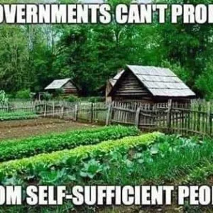 FB_IMG_16034443490691029.jpg