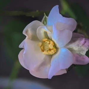 MVIMG_20201021_084203.jpg