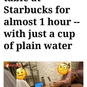 .jpg