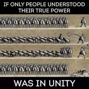 FB_IMG_16042715637203544.jpg