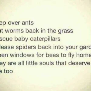 FB_IMG_16042712447854924.jpg