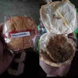 crabby patty