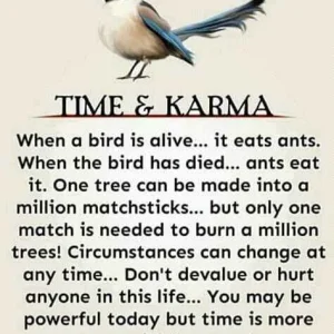 FB_IMG_16042703514236269.jpg
