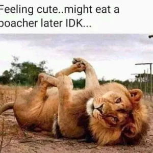 FB_IMG_16042687039104573.jpg
