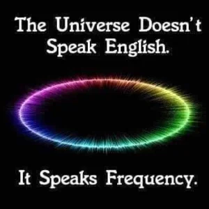 FB_IMG_16042685652402294.jpg