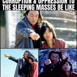 FB_IMG_16051553409521592.jpg