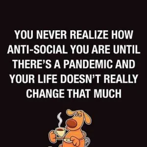FB_IMG_16042681461025566.jpg