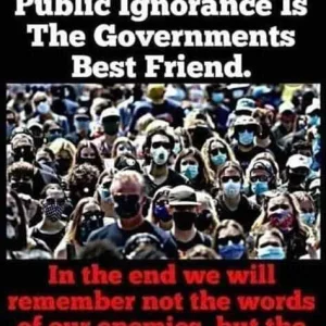FB_IMG_16057575118689917.jpg
