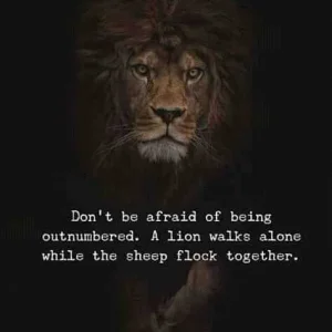 FB_IMG_16042680036169149.jpg