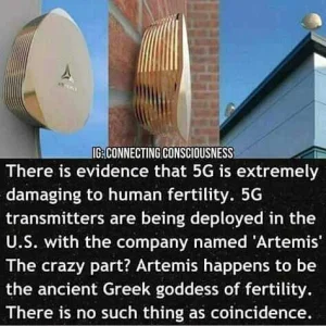 FB_IMG_16074135133706870.jpg