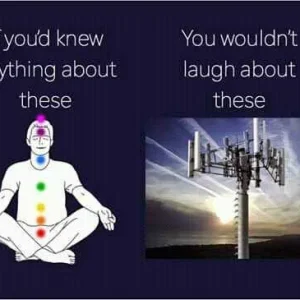 FB_IMG_16074134799199589.jpg
