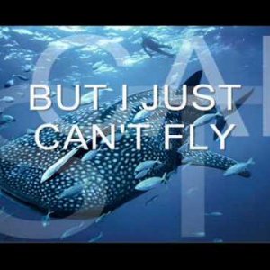 OCEAN DEEP by CLIFF RICHARD WITH LYRICS - YouTube