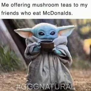 FB_IMG_16085618473476220.jpg