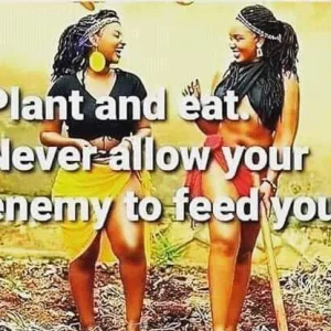 FB_IMG_16085615648116018.jpg