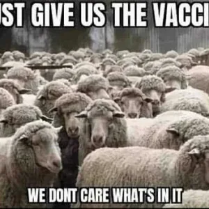 FB_IMG_16085614764895113.jpg