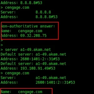 dns.png