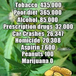 cannabis